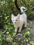 3 kluci hledají pohodový domov