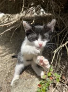 3 kluci hledají pohodový domov