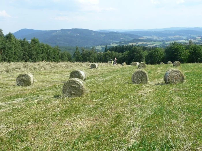 seno malé kulaté balíky