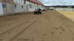 Ustájení koní