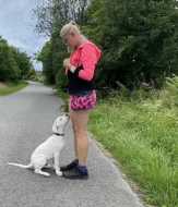 Prodám pejska Argentinské dogy