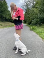 Prodám pejska Argentinské dogy