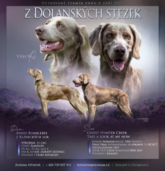 Štěňátka VOD