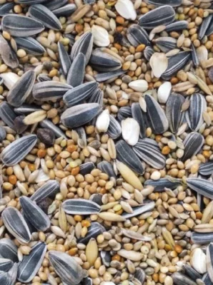 Krmná směs pro malé a střední papoušky