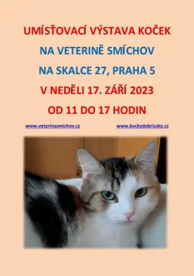Umísťovací výstava koček na Veterině Smíchov v Praze 5