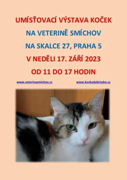Umísťovací výstava koček na Veterině Smíchov v Praze 5
