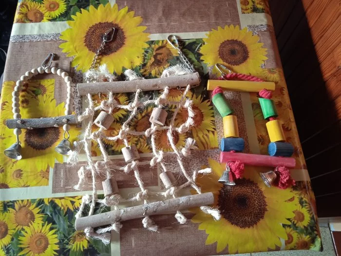 Prodám papouška a andulku