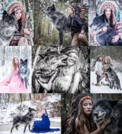 severoamerický indiánský pes, vlk, vlčí hybrid, vlčí kříženec, north american indian dog