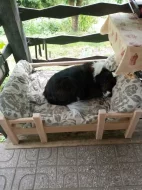 Spokojené snění pro pejsky