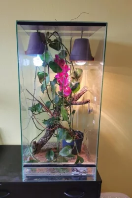 Terárium pro chameleony, gekony, nebo stromové hady 50x50x80