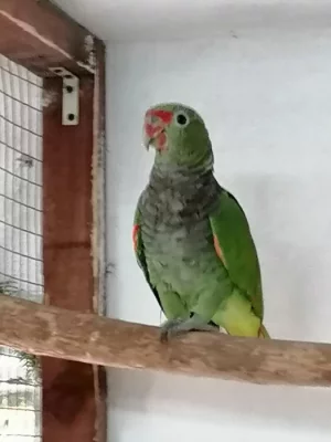 Nabízím