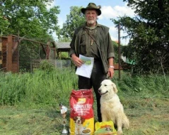 Zlatý retriever - šť.s PP