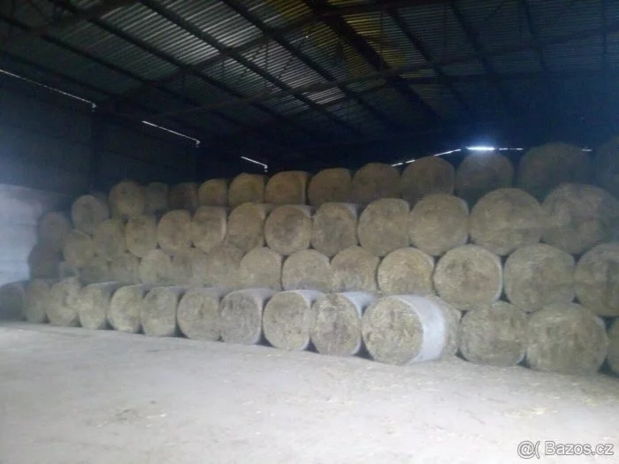 Letošní sláma ječná pšeničná