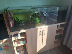Spěchá, ryby i akvária, větší množství
