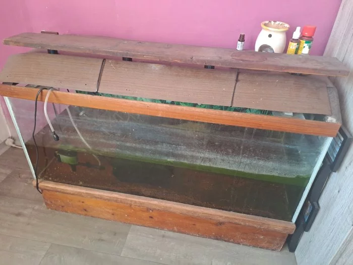 Spěchá, ryby i akvária, větší množství