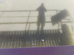 roček  ostroretky, roček parmy