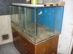 Levné dvojterarium