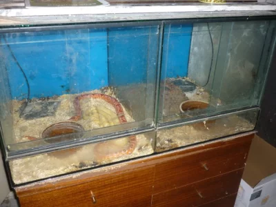Levné dvojterarium