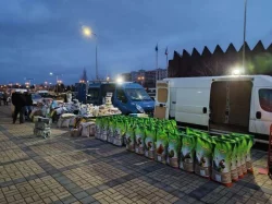 BURZA -ČESKÉ BUDĚJOVICE 5.7. A . KLADNO 6.7. VÝKUP KŮŽÍ ZA 15 KČ  VOLEJTE TEL.604853.AKCE NA VŠECHEN  SORTIMENT.TEL.604853346   Výkup kůží 10,-