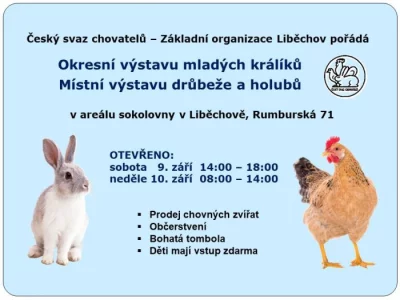 Výstava drůbeže