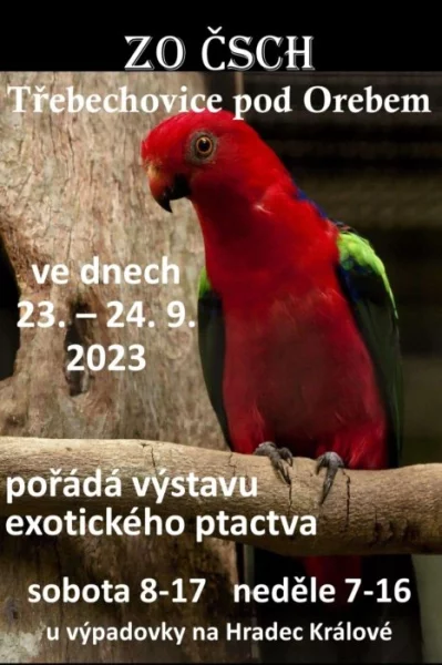 Výstava exotického ptactva Třebechovice pod Orebem
