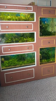 Akvarijní stěna - set včetně rybiček a rostlin