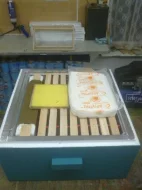 Prodávám včelí úly pro začínající včelaře