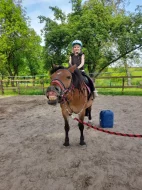 Jezdecký kroužek na koních a ponících.