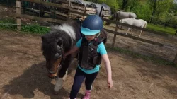 Jezdecký kroužek na koních a ponících.