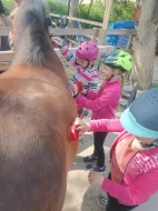 Jezdecký kroužek na koních a ponících.