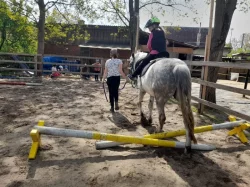Jezdecký kroužek na koních a ponících.