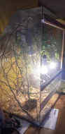 terarium pro chameleona +svetla + chamik