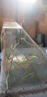 terarium pro chameleona 75x45x45cm