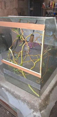 terarium pro chameleona 75x45x45cm