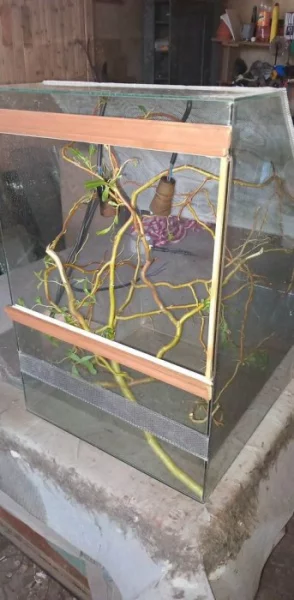 terarium pro chameleona 75x45x45cm