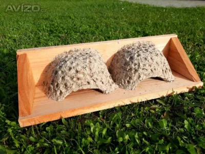 Hnízda pro jiřičky, ptačí budky