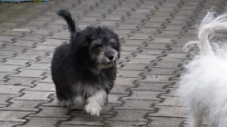 ODIS - Chcete něco extra? Pořiď te si ODISE!