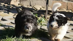 ODIS - Chcete něco extra? Pořiď te si ODISE!