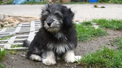 ODIS - Chcete něco extra? Pořiď te si ODISE!