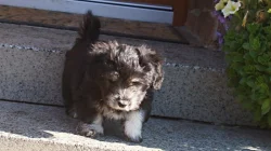 ODIS - Chcete něco extra? Pořiď te si ODISE!