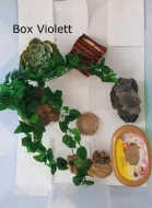 Samičky Gekončíka Nočního + Výbava