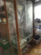 ZDARMA daruji - Hroznýš Královský (včetně terária)