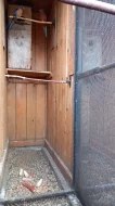 Rosely penant a žlutobřiché