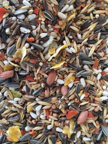 Krmení - směsi pro papoušky