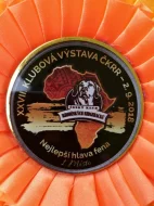 Rhodéský ridgeback s PP - nestandardní fenka k odběru