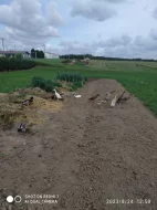 Prodám indičtí běžci