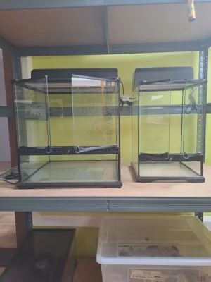 Prodám 2 ks terária Exoterra vč. krytu na žárovky