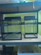 Prodám 2 ks terária Exoterra vč. krytu na žárovky