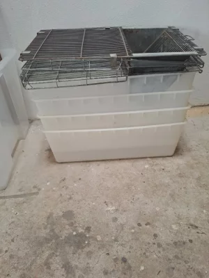 Prodám boxy pro odchov morčat, křečků, potkanů