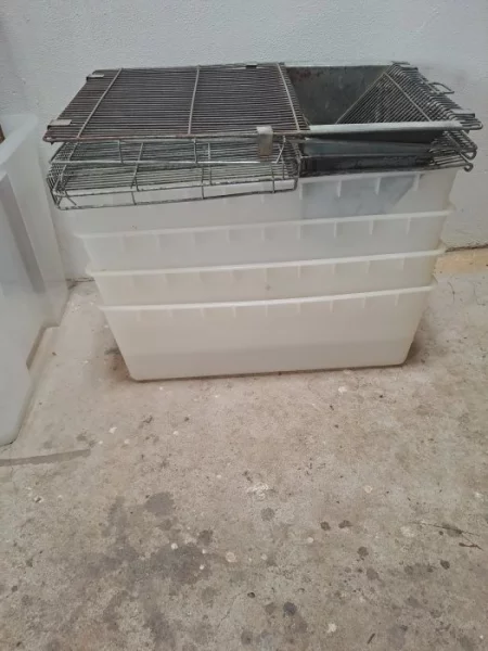 Prodám boxy pro odchov morčat, křečků, potkanů